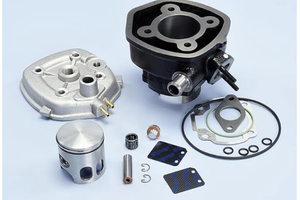 Motore  GRUPPO TERMICO POLINI 70CC D.47 SPORT come