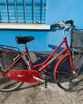 Bicicletta Cannellini