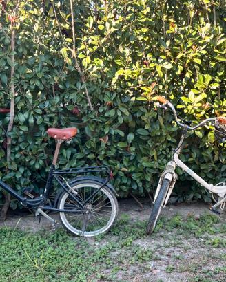 Coppia di bici pieghevoli