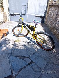 bianchi ragno