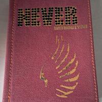 Diario Never Whitoutyou (2007)