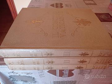 Enciclopedia il concilio Vaticano II