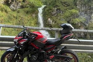 Kawasaki Z900 2024