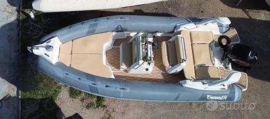 Marlin 20 + Mercury F150 EFI (2023, ca. 90 h)