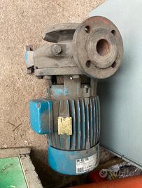 Pampa da 3/4 cv trifase