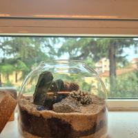 Terrarium mini Deserto