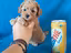 Immagine 4