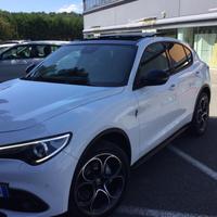 Alfa Romeo stelvio 2.2 d no AD blue 209 cv      q4