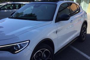 Alfa Romeo stelvio 2.2 d no AD blue 209 cv      q4