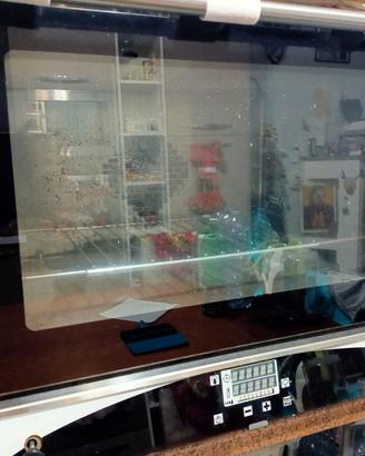 Forno professionale in acciaio inox
