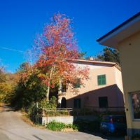 Splendida villa a Vezzi Portio