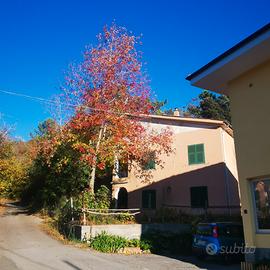 Splendida villa a Vezzi Portio