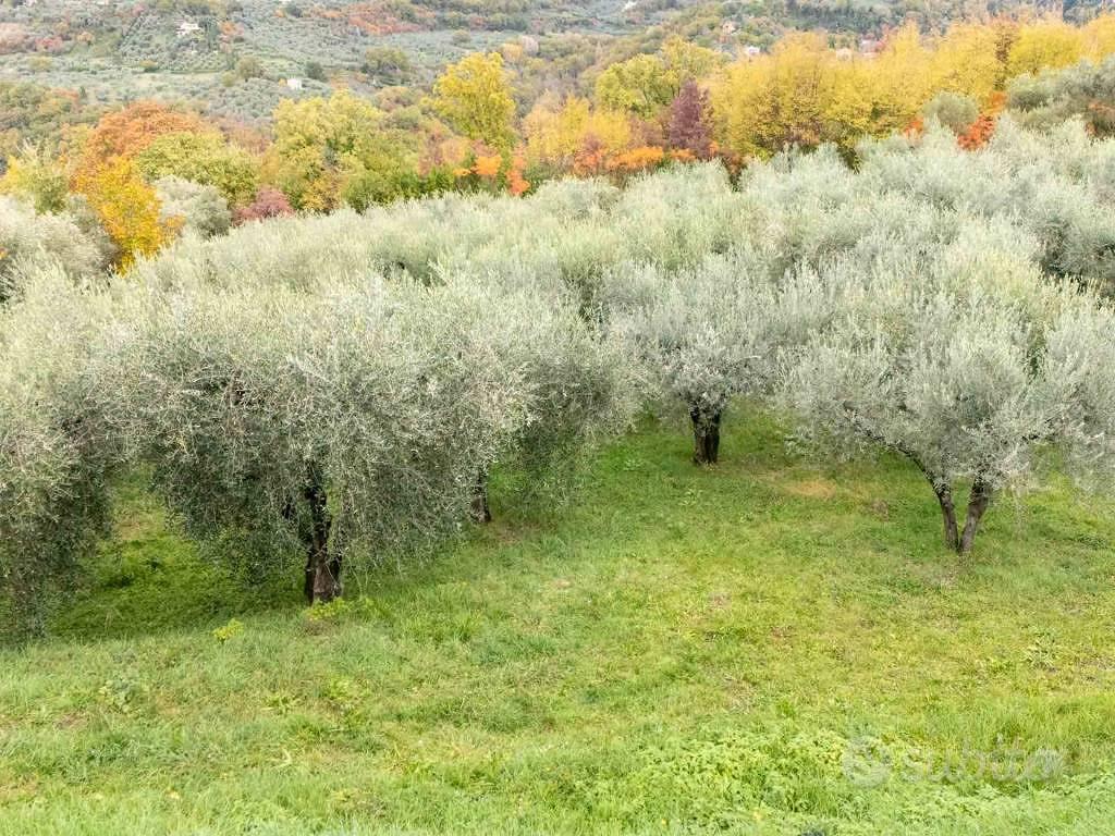 Terreno di 4160 m² a Poggio Nativo - Vista 4