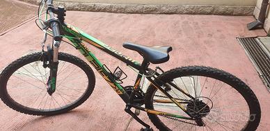 mountain bike ruota 26