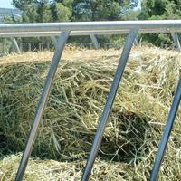 Rotoballe di fieno annata 2025