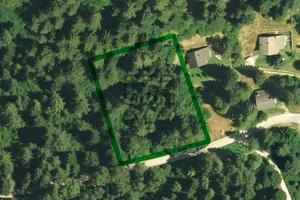 Terreno Edificabile - Pieve Tesino