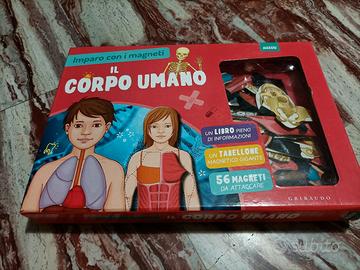 Gioco per bambini - Il corpo umano 