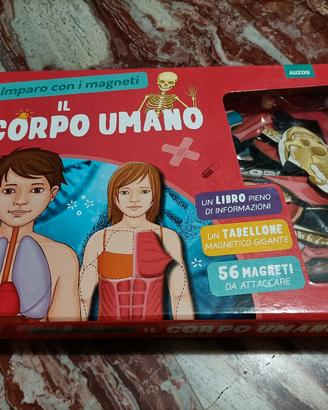 Gioco per bambini - Il corpo umano 