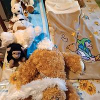 lotto peluche 