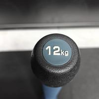 Elite Clubbell Xenios USA 12 Kg.