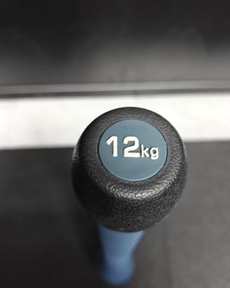 Elite Clubbell Xenios USA 12 Kg.