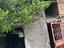 Immagine 28