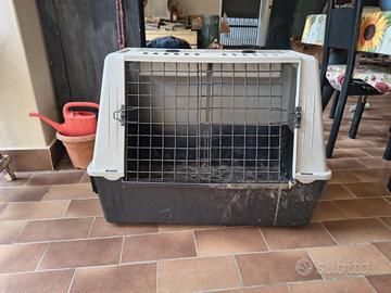 Trasportino da Auto per cani