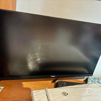 Monitor LCD Philips con braccio per fissaggio