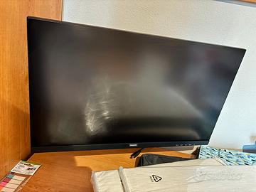 Monitor LCD Philips con braccio per fissaggio