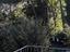 Immagine 25