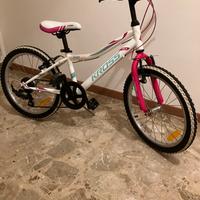 Mountain bike bimba 20”