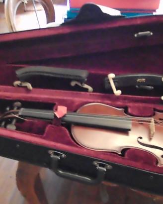violino clement