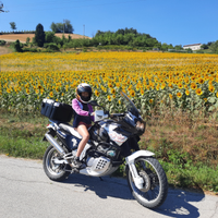 Honda Africa twin 750