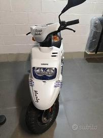 Scoter