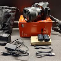 Sony A7S II + Sony FE 4/24-70mm Zeiss