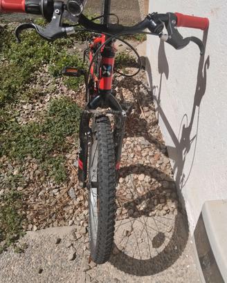 Bicicletta bimbo