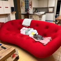 Divano PLOUM di Ligne Roset originale