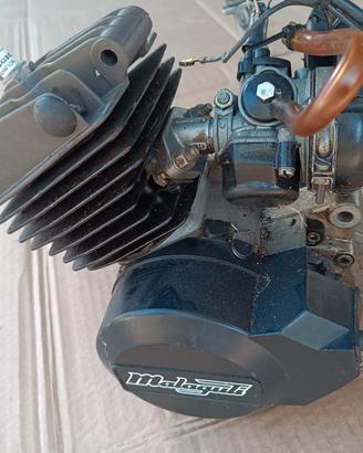 blocco motore s5 franci mirini minimoto grizzly 