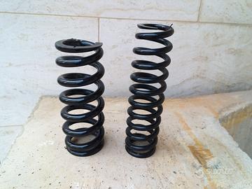 molle WP ant e post per Bmw GS 1200 del 2006