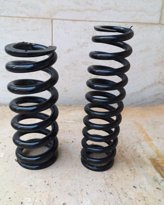 molle WP ant e post per Bmw GS 1200 del 2006