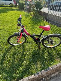 Bicicletta per bambina 