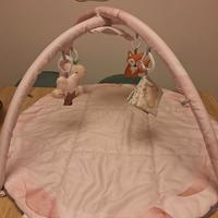 Palestrina neonato evolutiva Fortella