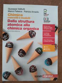 Chimica concetti e modelli 