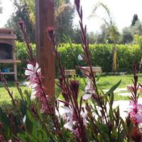 Graziosa villetta RELAX a Torre dell' Orso