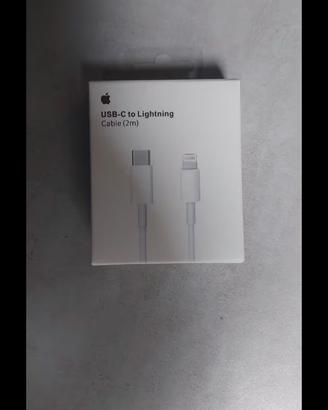 APPLE cavo di ricarica 2mt