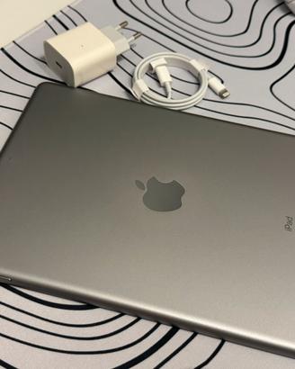 Apple Ipad 9.7 (5th)