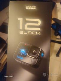 Go Pro 12