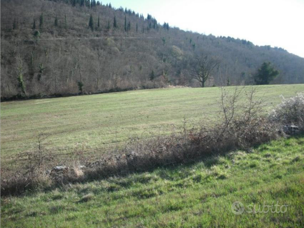 Terreno agricolo