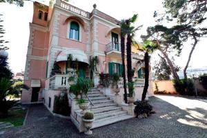 Commerciale Altro - Bari