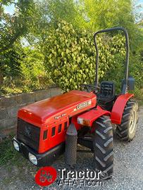 TRATTORE A. CARRARO 3100 4RM 4X4 USATO FRUTTETO